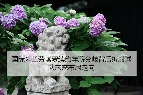 国际米兰劳塔罗续约年薪分歧背后折射球队未来布局走向
